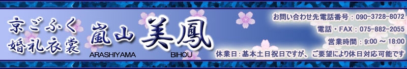 ̐U̔Piтقj